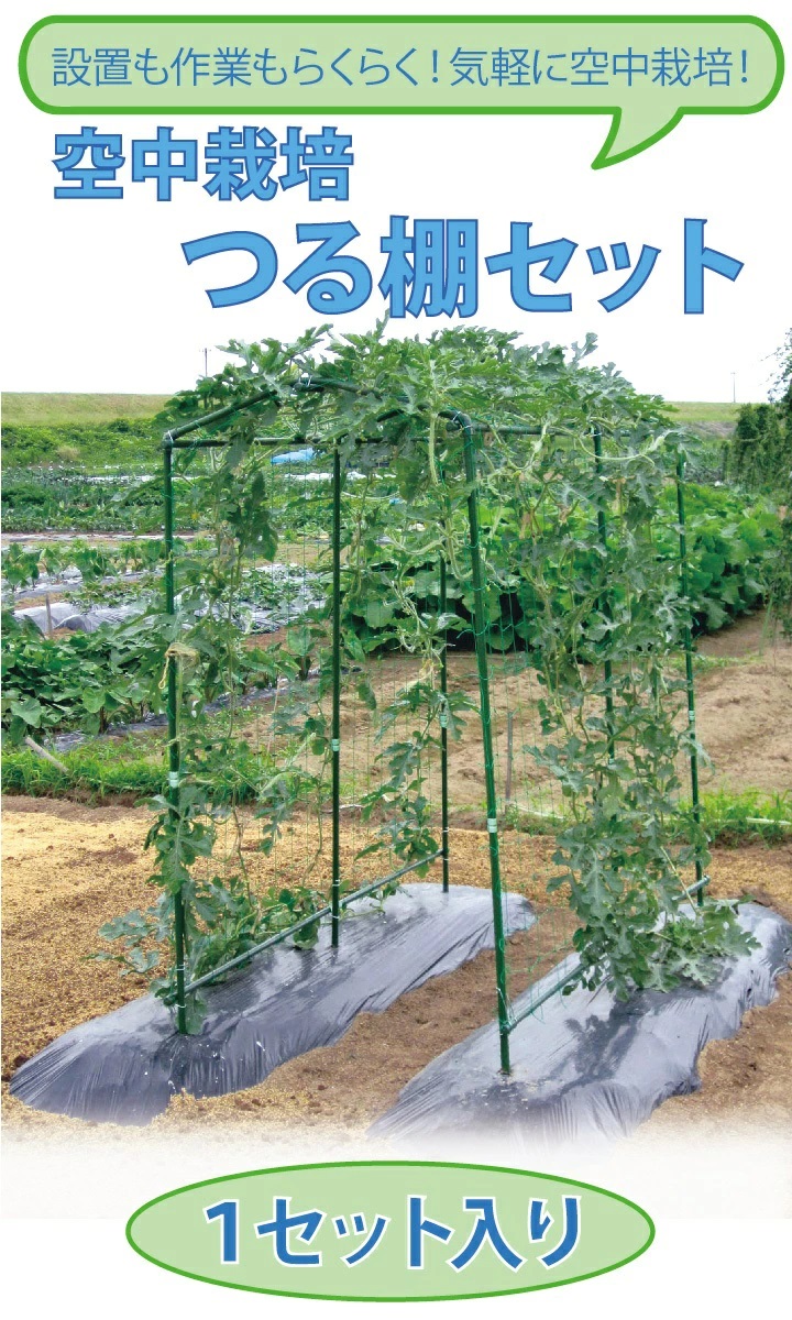 送料無料 空中栽培 つる棚セット 1セット入 設置サイズ 間口90 130cm 奥行160cm 高さ160cm 送料無料 空中栽培 つる棚セット 1セット入 設置サイズ 間口90 130cm 奥行160cm 高さ160cm