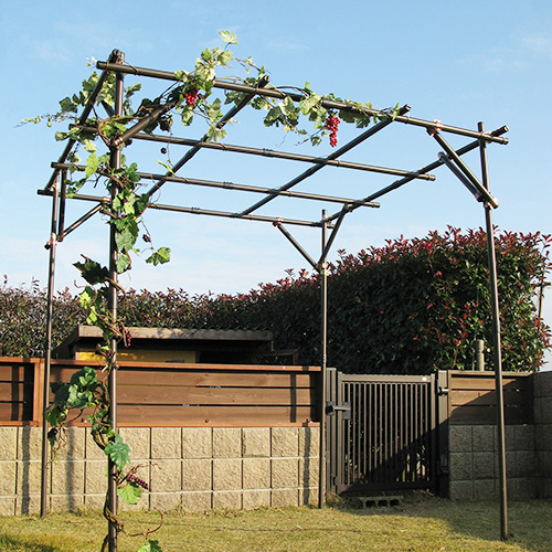 ガーデンアグリ果樹棚セット 2m×2m