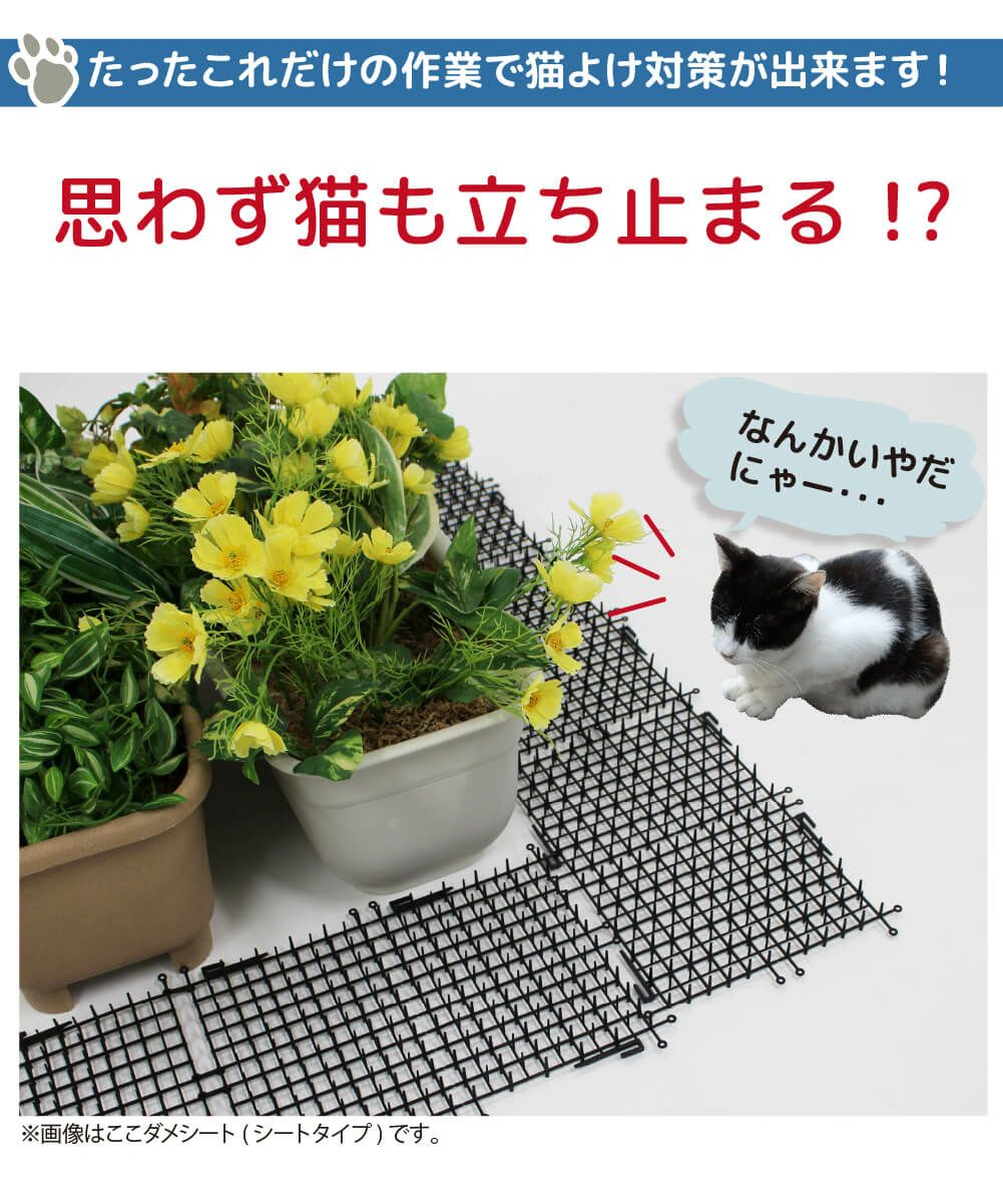 daim 猫よけ ここダメシート 幅30cm 20m巻
