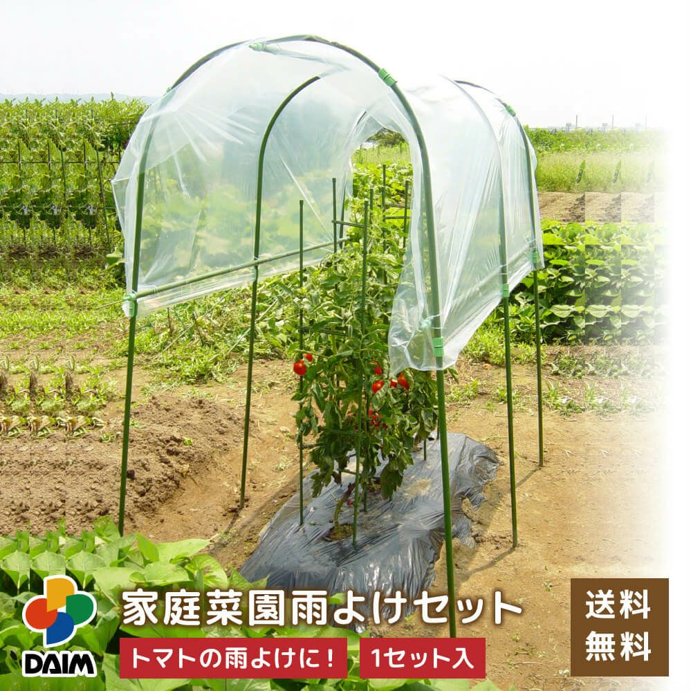 雨除け家庭菜園用雨よけセットトマトの雨よけに