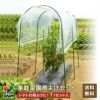 雨除け家庭菜園用雨よけセットトマトの雨よけに
