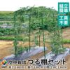空中栽培つる棚セット1セット入り【家庭菜園キュウリゴーヤエンドウ小玉スイカ小型カボチャ空中栽培園芸支柱用品キット野菜作り】