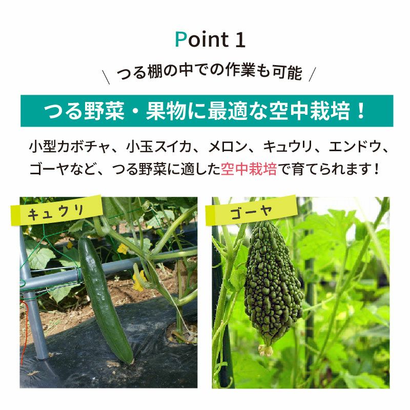 空中栽培つる棚セット1セット入り【家庭菜園キュウリゴーヤエンドウ小玉スイカ小型カボチャ空中栽培園芸支柱用品キット野菜作り】