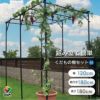くだもの棚セットKT-M120【菜園園芸支柱ガーデニングガーデニング用品家庭菜園】【10P01Sep13】【RCP】