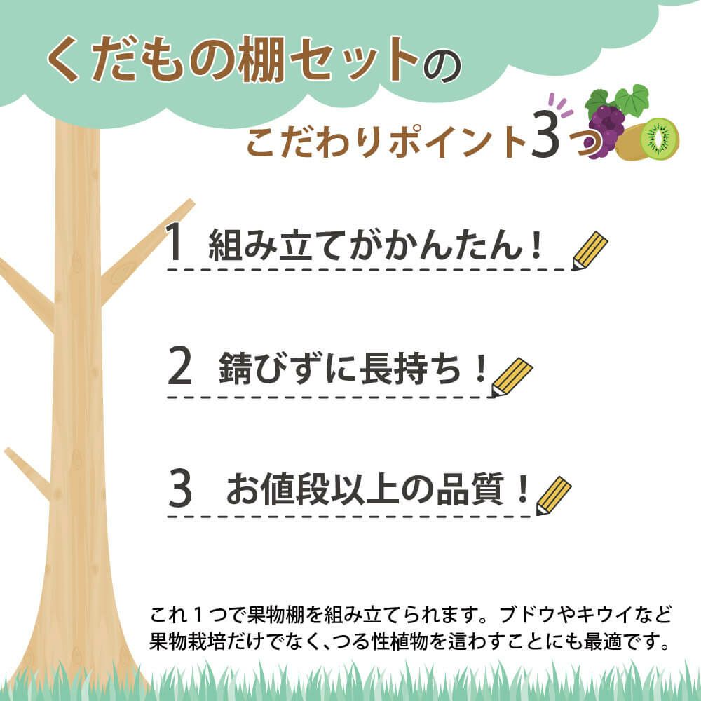 くだもの棚セットKT-M120【菜園園芸支柱ガーデニングガーデニング用品家庭菜園】【10P01Sep13】【RCP】