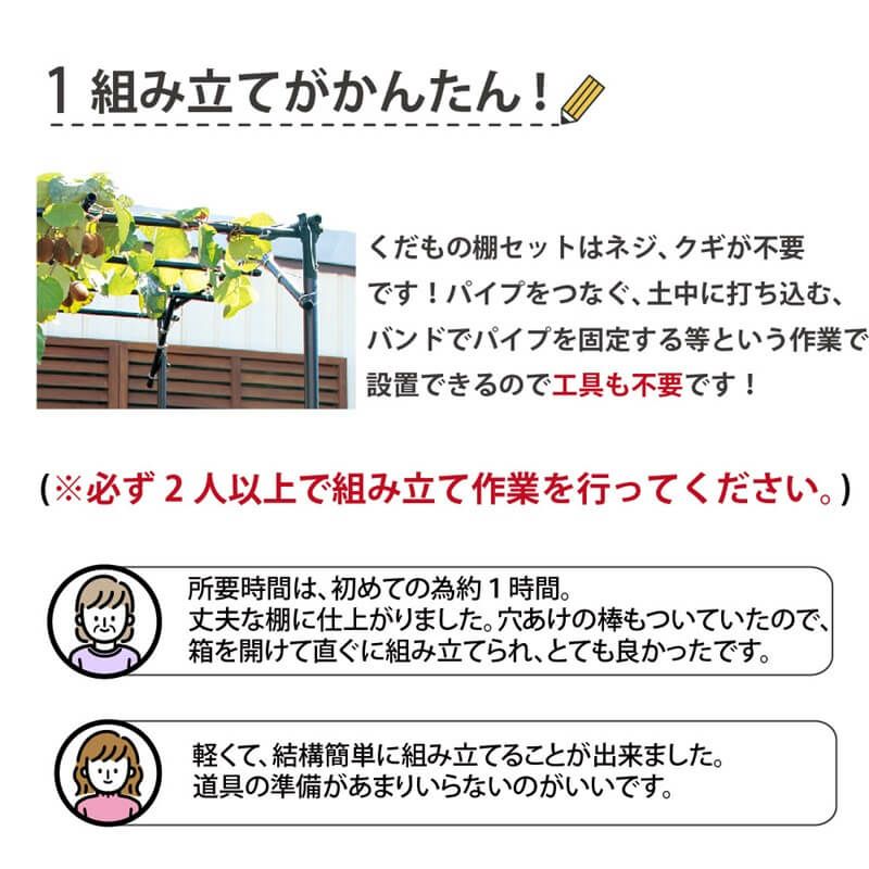 くだもの棚セットKT-M120【菜園園芸支柱ガーデニングガーデニング用品家庭菜園】【10P01Sep13】【RCP】