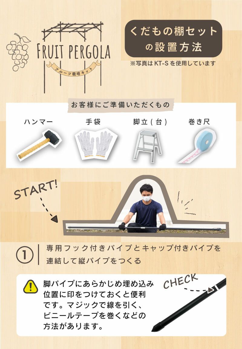 くだもの棚セットKT-M120【菜園園芸支柱ガーデニングガーデニング用品家庭菜園】【10P01Sep13】【RCP】