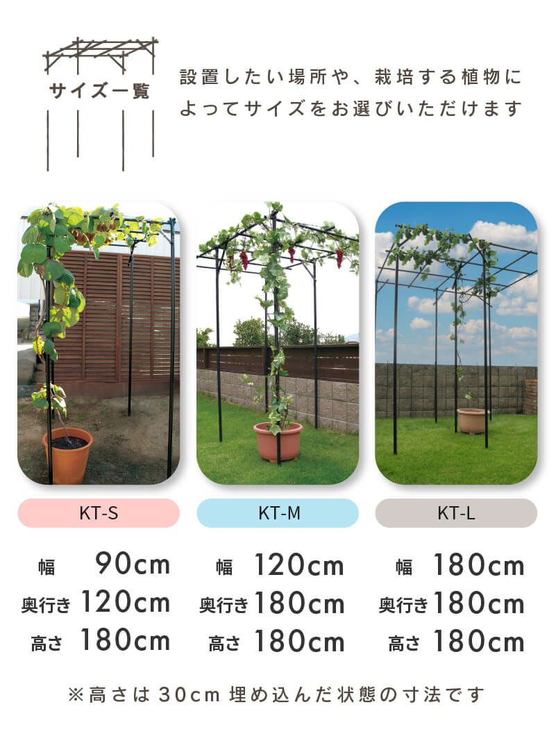 くだもの棚セットKT-M120【菜園園芸支柱ガーデニングガーデニング用品家庭菜園】【10P01Sep13】【RCP】