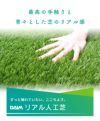リアル人工芝C型芝丈30mm2m×5mDAIMマットロール式芝生【人工芝リアルドッグランロール式グリーン庭】