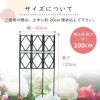 ローズトレリス幅60cm×高さ120cm広げるだけのかんたんトレリス♪【薔薇トレリスバラばらプランターベランダラウンドトレリス園芸組み立て不要フェンス支柱園芸ガーデニング家庭菜園用品】