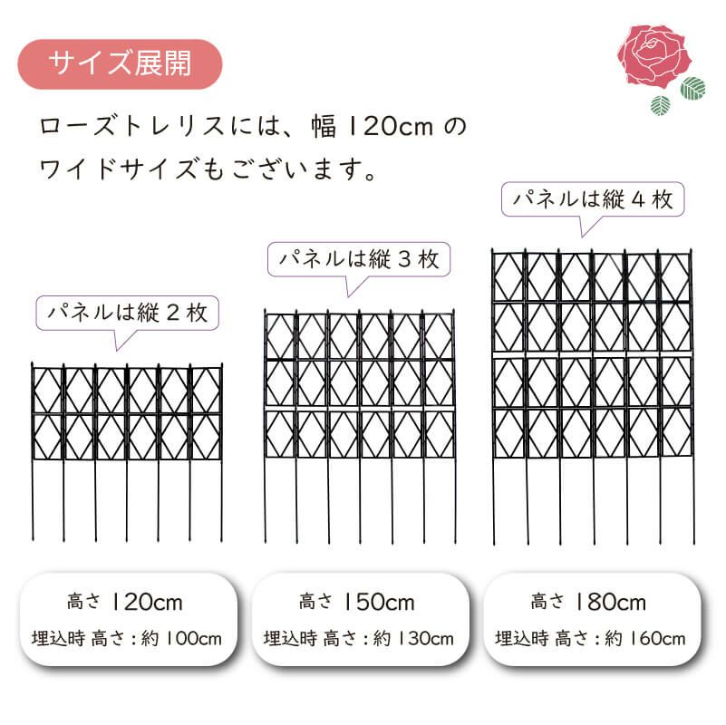 ローズトレリス幅60cm×高さ120cm広げるだけのかんたんトレリス♪【薔薇トレリスバラばらプランターベランダラウンドトレリス園芸組み立て不要フェンス支柱園芸ガーデニング家庭菜園用品】