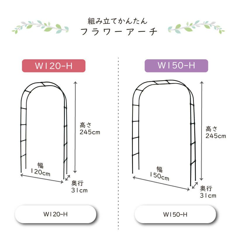 ローズトレリス幅60cm×高さ120cm広げるだけのかんたんトレリス♪【薔薇トレリスバラばらプランターベランダラウンドトレリス園芸組み立て不要フェンス支柱園芸ガーデニング家庭菜園用品】