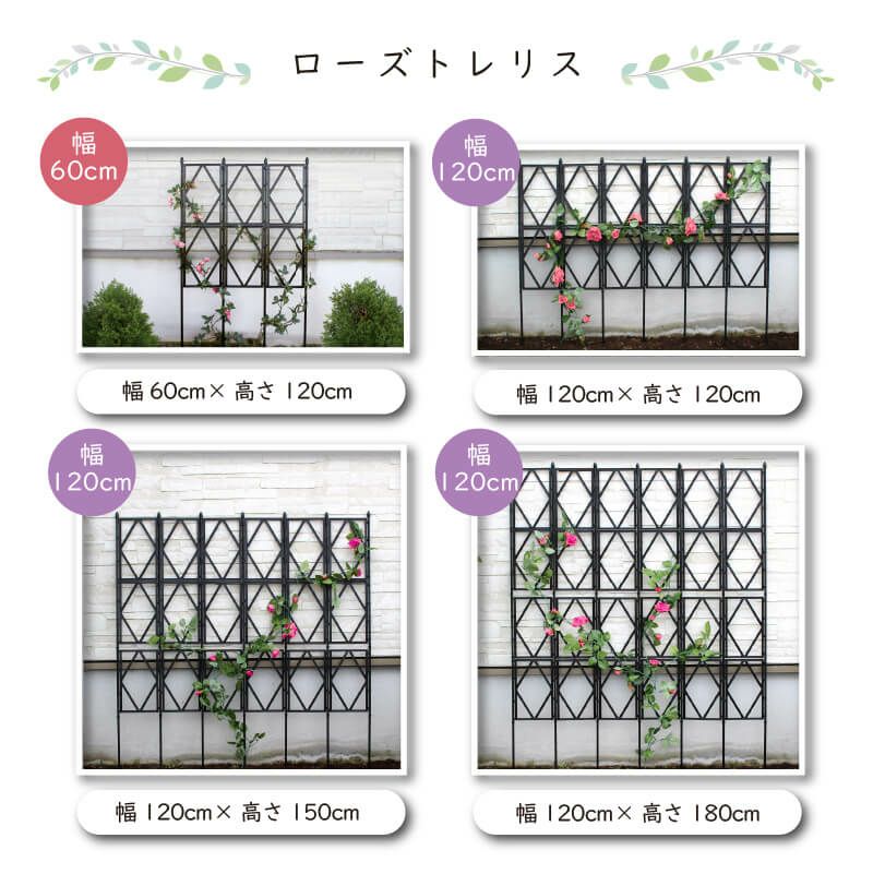 組立かんたんローズオベリスク直径40cm×高さ180cm工具いらずで組立カンタン♪【ローズオベリスクガーデンオベリスクオベリスクつる性植物つる花薔薇バラばら菜園組み立て支柱園芸家庭菜園】