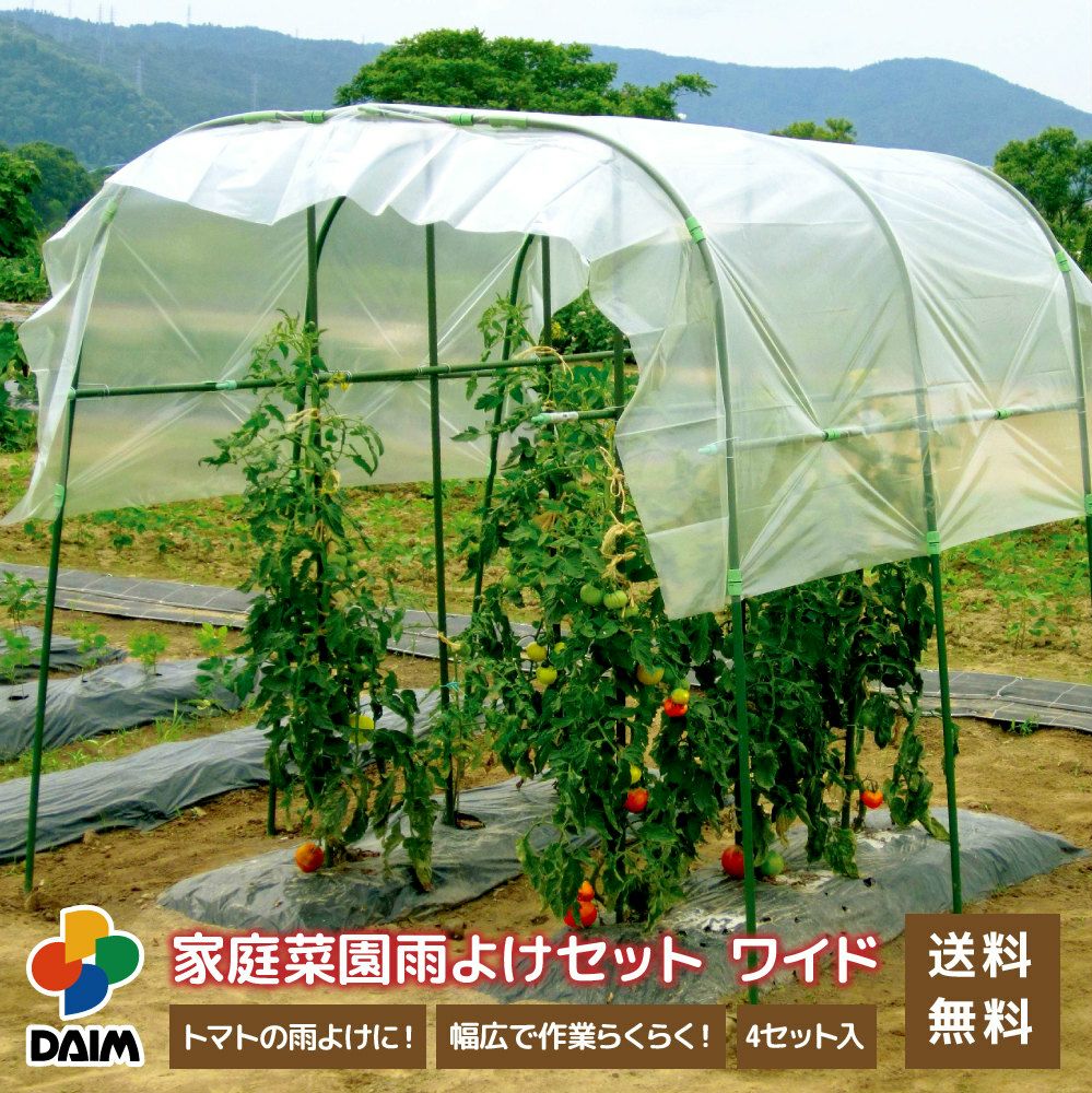 トマト栽培 Daimファクトリー トマト栽培 Daimファクトリー