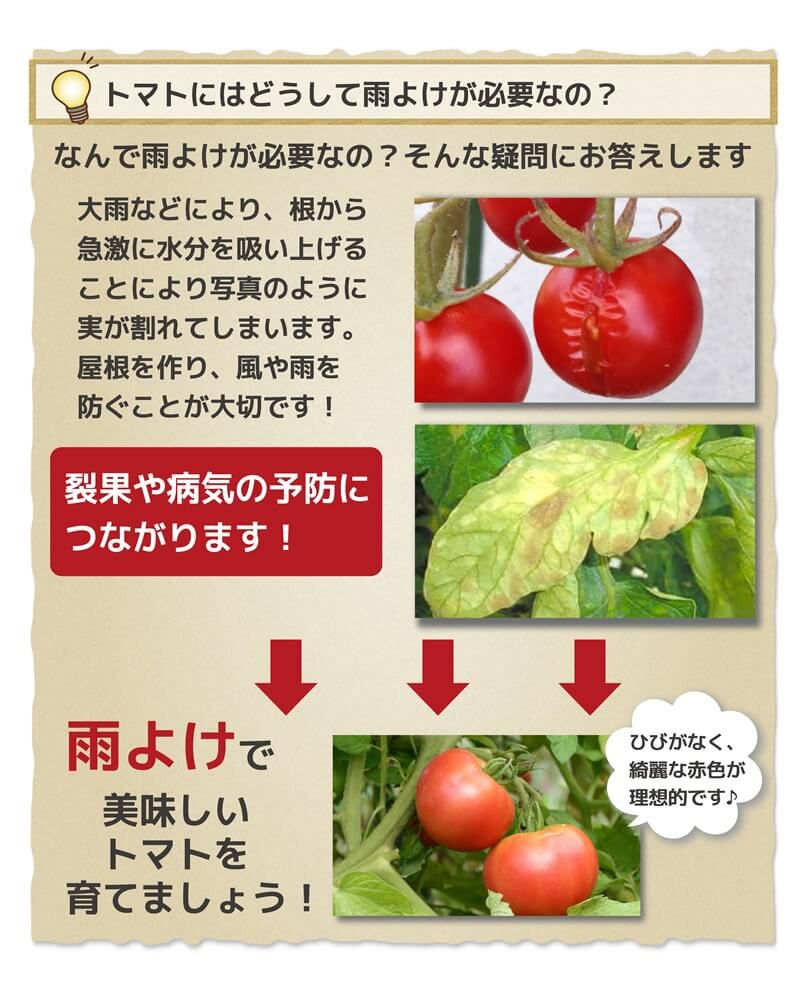 組み立てかんたん雨よけセットワイド奥行き2.7mトマトの雨よけに【雨よけ雨除けトマト栽培家庭菜園】