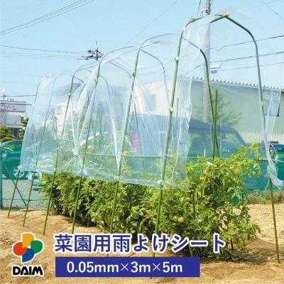 トマト栽培 Daimファクトリー トマト栽培 Daimファクトリー