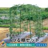 【ケース売り】【送料無料】空中栽培つる棚セット4セット入り【家庭菜園キュウリゴーヤエンドウ小玉スイカ小型カボチャ空中栽培園芸支柱用品キット野菜作り】