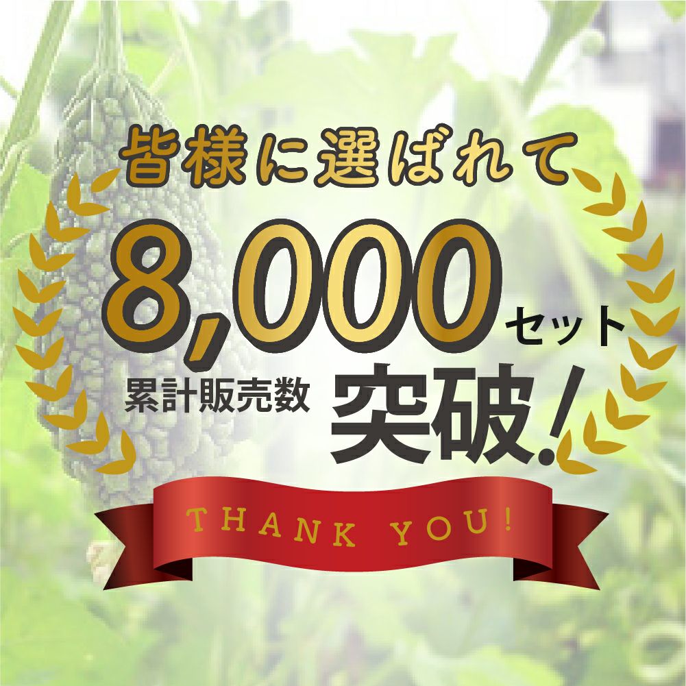 【ケース売り】【送料無料】空中栽培つる棚セット4セット入り【家庭菜園キュウリゴーヤエンドウ小玉スイカ小型カボチャ空中栽培園芸支柱用品キット野菜作り】