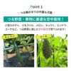 【ケース売り】【送料無料】空中栽培つる棚セット4セット入り【家庭菜園キュウリゴーヤエンドウ小玉スイカ小型カボチャ空中栽培園芸支柱用品キット野菜作り】