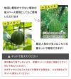 【ケース売り】【送料無料】空中栽培つる棚セット4セット入り【家庭菜園キュウリゴーヤエンドウ小玉スイカ小型カボチャ空中栽培園芸支柱用品キット野菜作り】