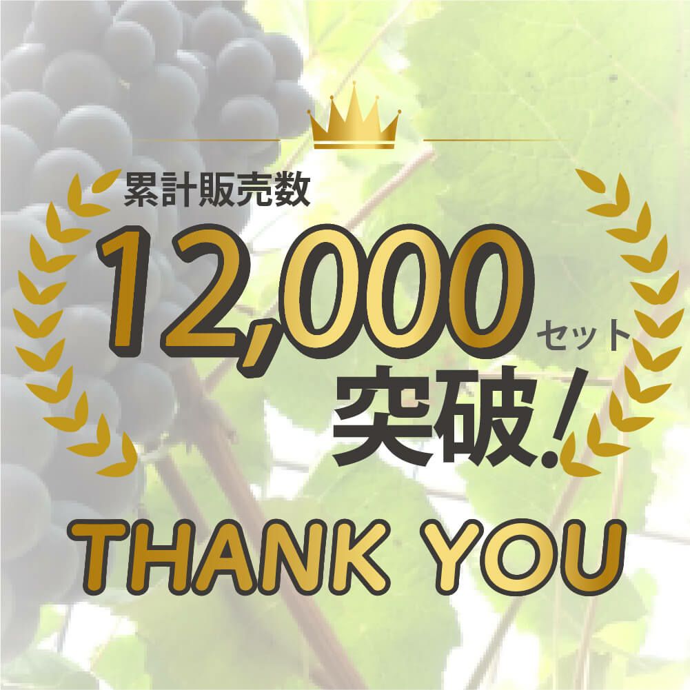 くだもの棚セットKT-S90【菜園園芸支柱ガーデニングガーデニング用品家庭菜園】【10P01Sep13】【RCP】