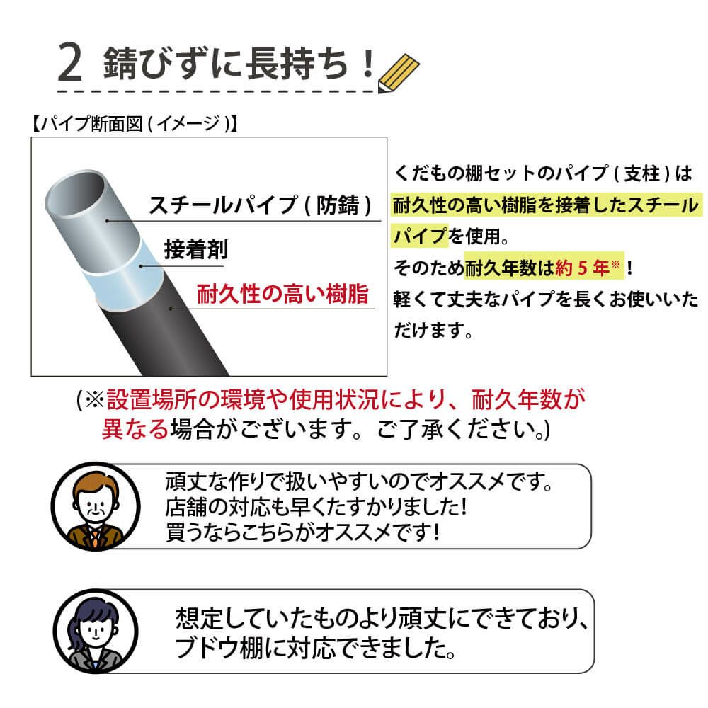 くだもの棚セットKT-S90【菜園園芸支柱ガーデニングガーデニング用品家庭菜園】【10P01Sep13】【RCP