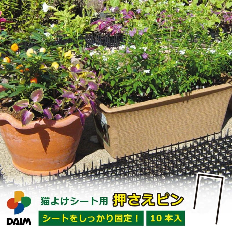 猫よけシート用おさえピン【園芸支柱ガーデニング家庭菜園用品用具動物忌避避け除け】【10P01Sep13】【RCP】