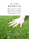 こちらはカットサンプルのページとなります。人工芝20cm×20cmDAIMリアルマットロール式芝生【人工芝リアルドッグランロール式グリーン庭】