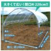 【送料無料】トマト雨除け栽培セットDX1.3m×3.6m【ビニールハウス園芸家庭菜園霜よけ防虫防鳥】