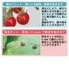 雨よけと虫よけが一体型！雨よけで裂果を防ぎ、虫よけで害虫を防ぎます。雨よけ虫よけミニ菜園ハウス【トマト雨よけ雨除けビニールハウス園芸家庭菜園霜よけ防虫防鳥】