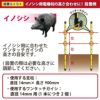 daim イノシシ用ガイシ2個付電柵杭 直径14mm×900mm 40本