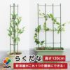 daim らくだな 高さ120cm【トマト トマト栽培 棚 野菜棚 キュウリ ゴーヤ つる性植物 きゅうり棚 ネット 園芸 支柱 ジョイント 竹 ガーデニング 用品 家庭菜園】