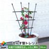 せんす型トレリス幅50cm×高さ90cmパイプとアームをはめるだけ！組み立てカンタン♪【つる性植物薔薇トレリスバラばらつる性植物プランターベランダラウンドトレリス園芸組み立て不要フェンス支柱園芸ガーデニング家庭菜園用品】