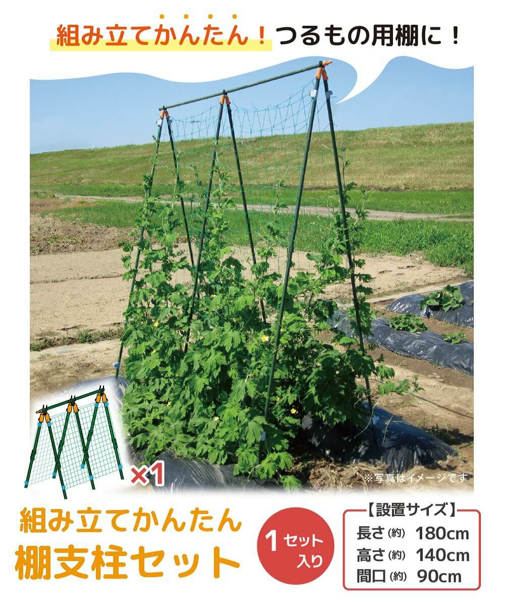 daim 組み立てかんたん棚支柱セット 1セット入 設置サイズ 高さ 140cm 長さ 180cm 間口 90cm つぎ足し 継ぎ足し式 キュウリ ゴーヤ 合掌作り つる性植物 きゅうり棚 ネット 空中栽培 園芸 支柱 ジョイント ガーデニング 用品 家庭菜園 送料無料