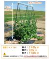 daim 組み立てかんたん棚支柱セット 1セット入 設置サイズ 高さ 140cm 長さ 180cm 間口 90cm つぎ足し 継ぎ足し式 キュウリ ゴーヤ 合掌作り つる性植物 きゅうり棚 ネット 空中栽培 園芸 支柱 ジョイント ガーデニング 用品 家庭菜園 送料無料