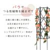 daim ローズトレリスワイド 幅120cm×高さ120cm組み立てかんたんトレリス♪ワイドタイプでお庭をもっと華やかに【薔薇 トレリス バラ ばら プランター ベランダ ラウンドトレリス 園芸 組み立て不要 フェンス 支柱 園芸 ガーデニング 家庭菜園 用品】