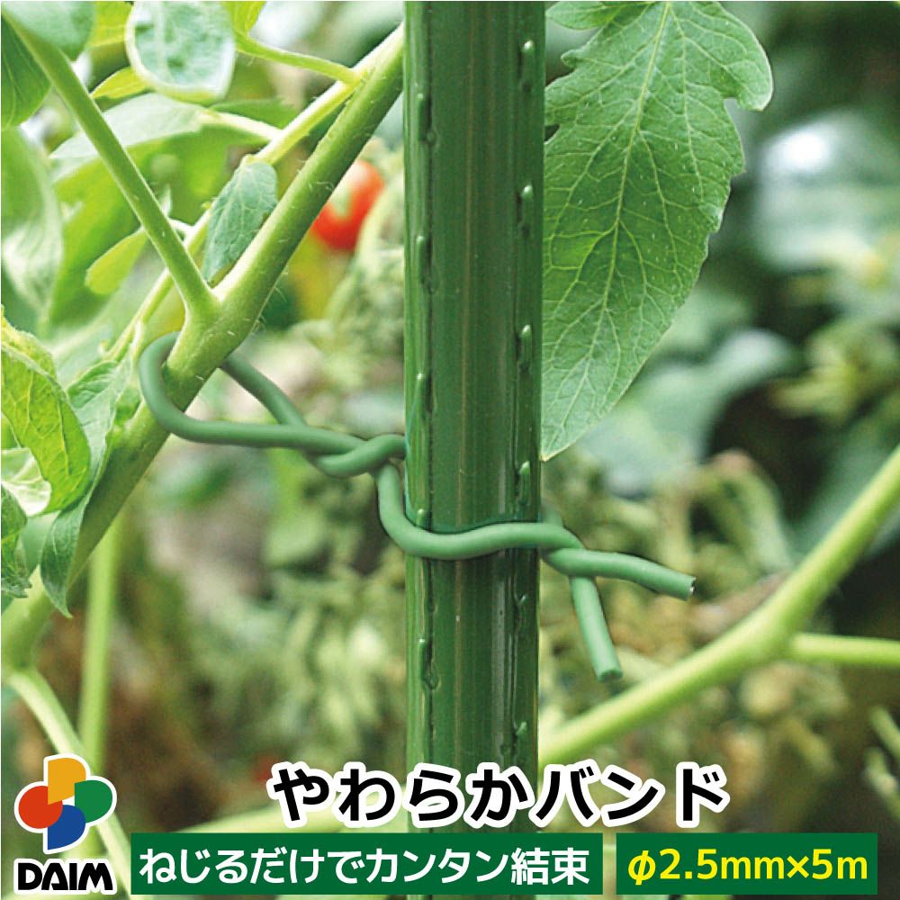 やわらかバンド2.5_イメージ