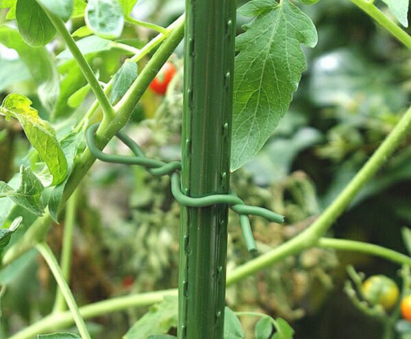 やわらかバンドφ2.5mm×5m【家庭菜園園芸支柱誘引トマト野菜かんたん】