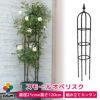 daim スモールオベリスク 直径21cm×高さ120cm【園芸 支柱 竹 ガーデニング 家庭菜園 かぼちゃ 用品】