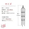 daim スモールオベリスク 直径21cm×高さ120cm【園芸 支柱 竹 ガーデニング 家庭菜園 かぼちゃ 用品】