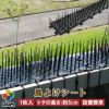鳥よけシート１枚入パック