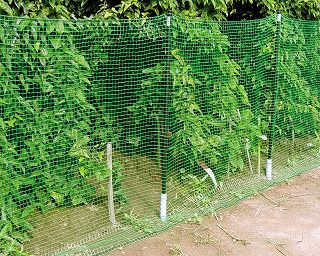 防獣杭φ２０ミリ×１２０センチ１０本入り