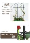 daim ローズスタイル リング 直径30cm 1個 薔薇 トレリス バラ ばら 菜園 フェンス 組み立て 支柱 園芸 家庭菜園 モッコウバラ