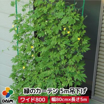 公式】DAIM 第一ビニール 緑のカーテンで夏を涼しく