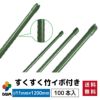 【ケース売り】すくすく竹イボ付100本入りφ11mm×1200mm【園芸支柱竹ガーデニング用品家庭菜園】