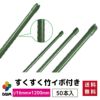 【ケース売り】すくすく竹イボ付50本入りφ16mm×1200mm【園芸支柱竹ガーデニング用品家庭菜園】