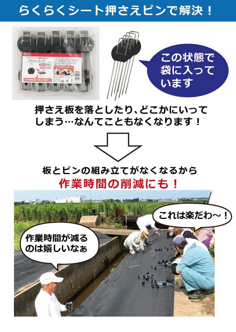 daim らくらくシート押さえピン フラットタイプ 長さ20cm 50本入【園芸 防草 雑草対策 防草シート ピン  釘押さえ おさえ ガーデニング 家庭菜園 用品 用具 シート 固定 効率 農業 農業資材 一体型】