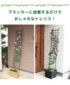 daim 組み立てかんたん立掛けトレリス 2セット入り 幅30cm×高さ180cm diy 薔薇 トレリス バラ 立て掛け クレチマス 誘引 つる性 ばら プランター ベランダ ラウンドトレリス 園芸 フェンス 支柱 送料無料