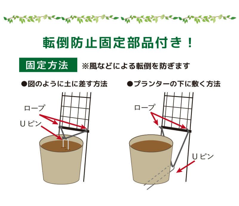 daim 組み立てかんたん立掛けトレリス 2セット入り 幅30cm×高さ180cm diy 薔薇 トレリス バラ 立て掛け クレチマス 誘引 つる性 ばら プランター ベランダ ラウンドトレリス 園芸 フェンス 支柱 送料無料