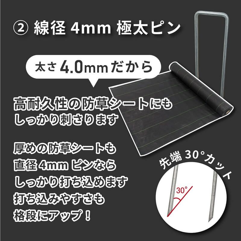 daim インテグアンカーPRO 長さ20cm 100本入 太い 剣先 防草シート ピン マルチ 押さえ おさえ 防そうシート 除草シート ぼうそうしーと 防草しーと 雑草 対策 釘押さえ シート 固定 ザバーン 第一ビニール 送料無料